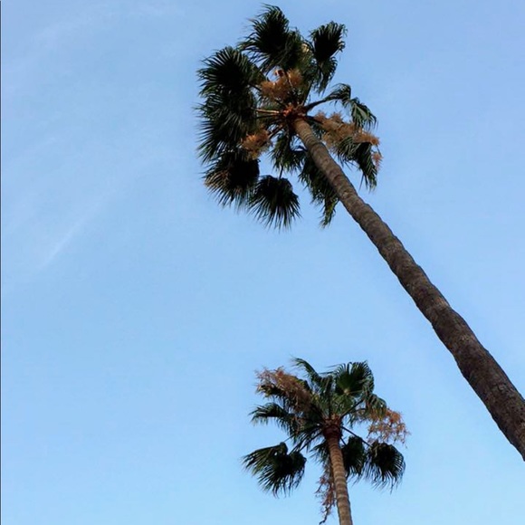 Meet your Posher, Joanna - Picture 1 of 1